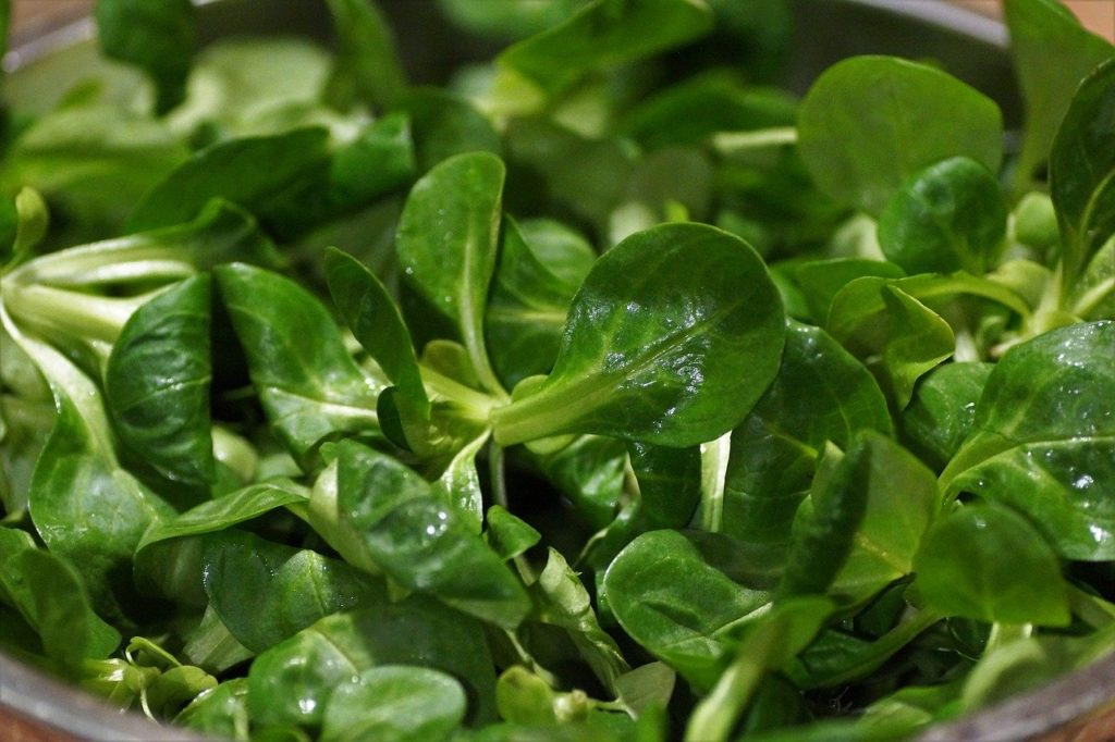 Feldsalat