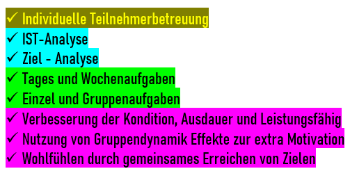 Inhalte des Projekts bestehen aus der indivduellen Betreuung, Anlysen,, Aufgaben mir dem Ziel der Verbesserung der Leistungsfähigkeit jeden Einzelnen. Nutzung von Gruppendynamik Effekten kommen ebenso zum Tragen.